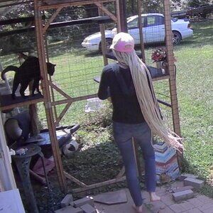 Blonde box braid hat wig